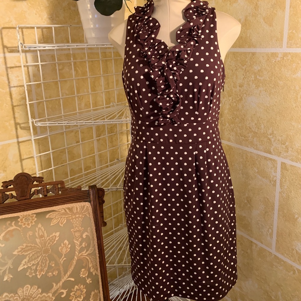 Taylor Ruffled Collar Brown and White Dress